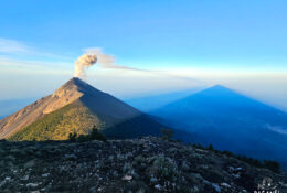 Mexico_and_Guatemala_2025 (32/50)